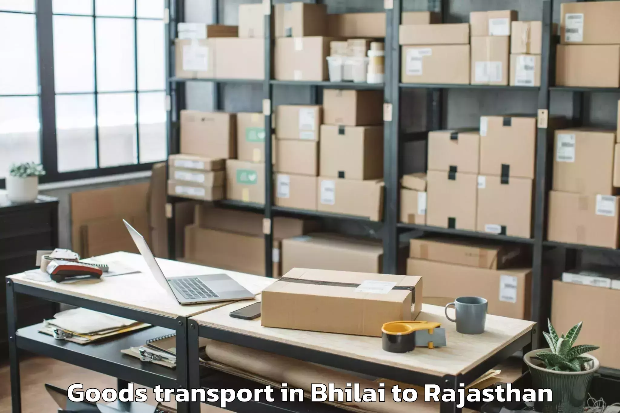 Quality Bhilai to Bayana Goods Transport